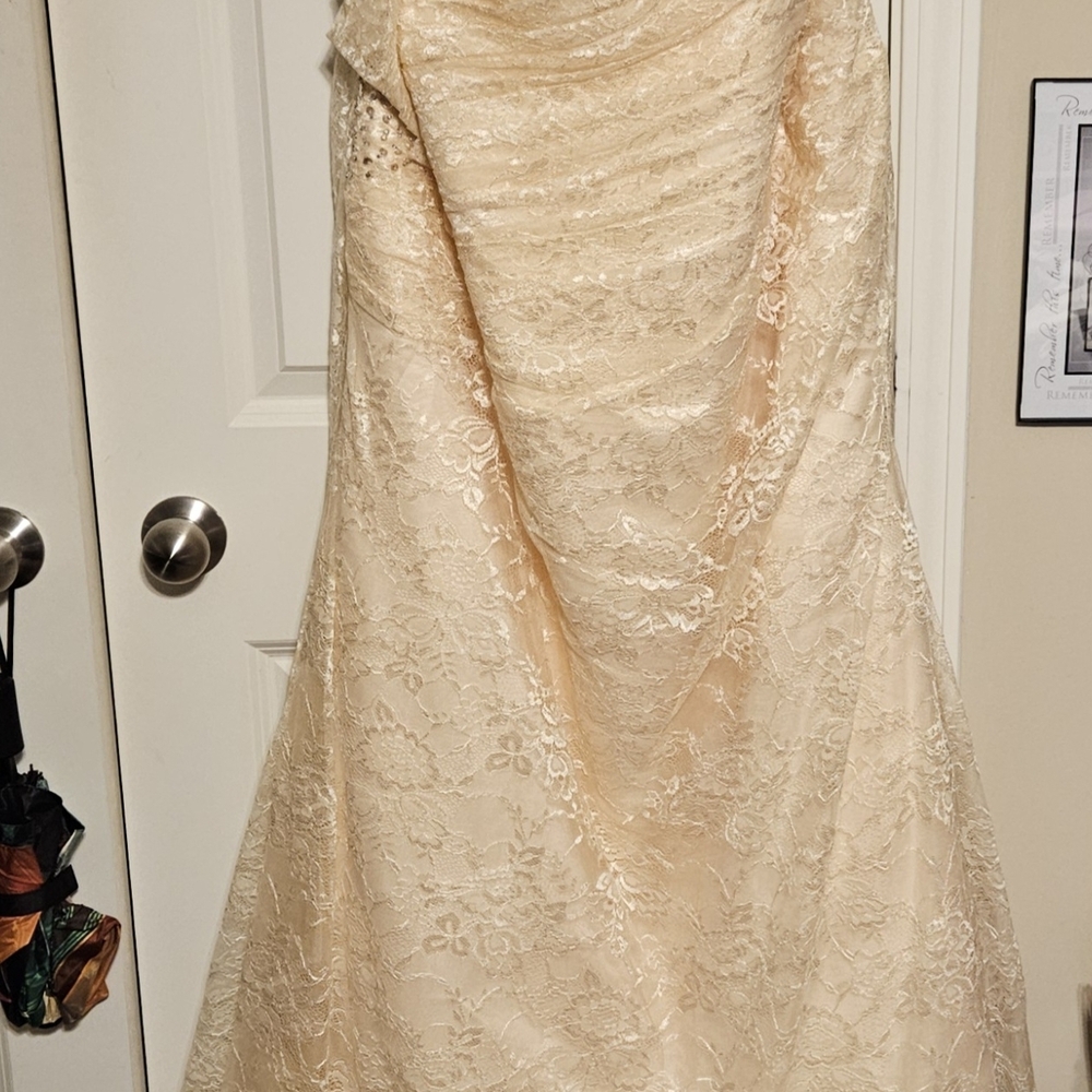 Elegant Champagne Lace And Tulle Wedding Gown